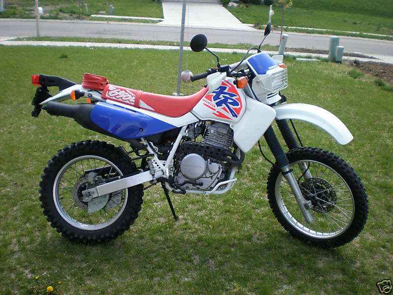 Repsol xr650 honda #3